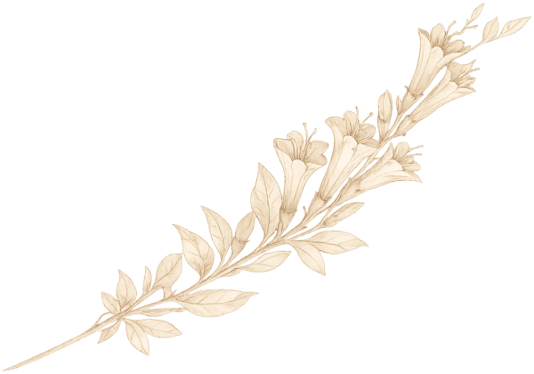 Flor Cantuta