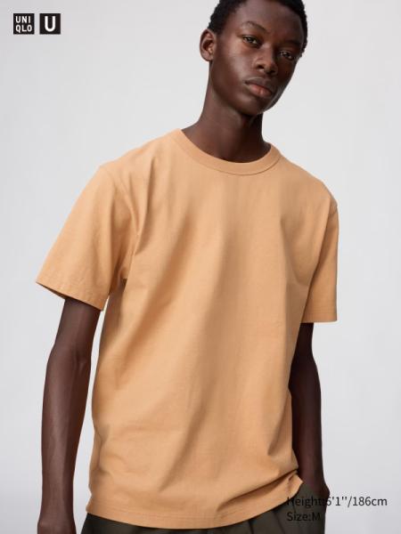 Crew Neck T-Shirt (EN)