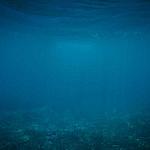 Aliquam perferendis et