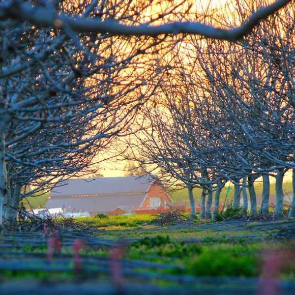 Tempore culpa assumenda