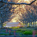 Tempore culpa assumenda