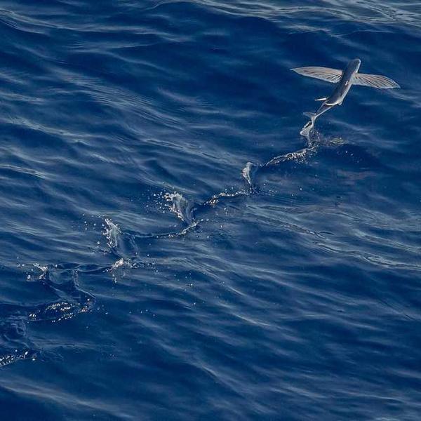 Assumenda omnis voluptatem