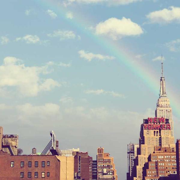 Voluptatem ratione enim - Green